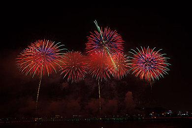 《超级马里奥兄弟：惊奇》合作模式实机演示视频